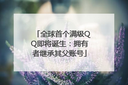 全球首个满级QQ即将诞生：拥有者继承其父账号