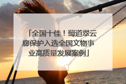 全国十佳！蜀道翠云廊保护入选全国文物事业高质量发展案例