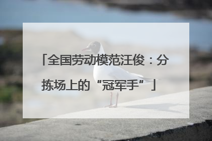 全国劳动模范汪俊：分拣场上的“冠军手”