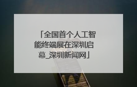 全国首个人工智能终端展在深圳启幕_深圳新闻网