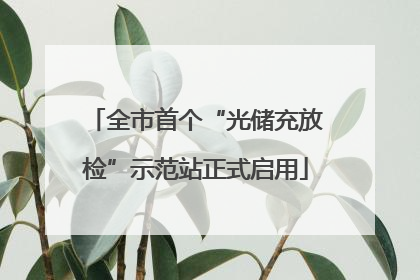 全市首个“光储充放检”示范站正式启用