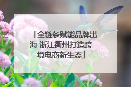 全链条赋能品牌出海 浙江衢州打造跨境电商新生态