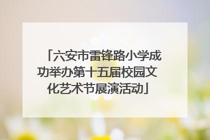 六安市雷锋路小学成功举办第十五届校园文化艺术节展演活动