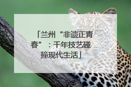 兰州“非遗正青春”：千年技艺碰撞现代生活