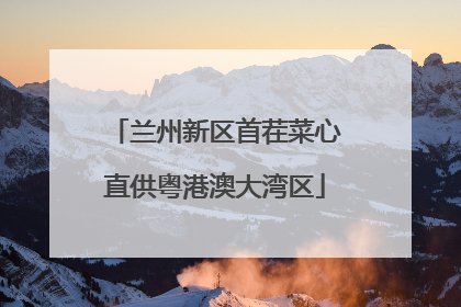 兰州新区首茬菜心直供粤港澳大湾区