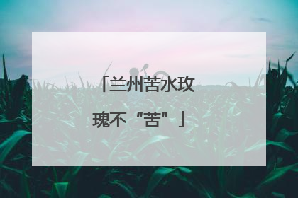 兰州苦水玫瑰不“苦”