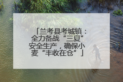 兰考县考城镇：全力备战“三夏”安全生产，确保小麦“丰收在仓”