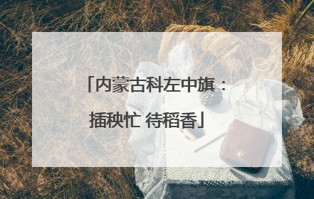内蒙古科左中旗：插秧忙 待稻香