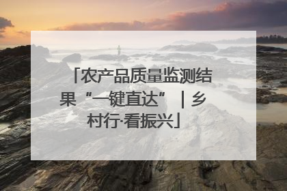 农产品质量监测结果“一键直达”｜乡村行·看振兴
