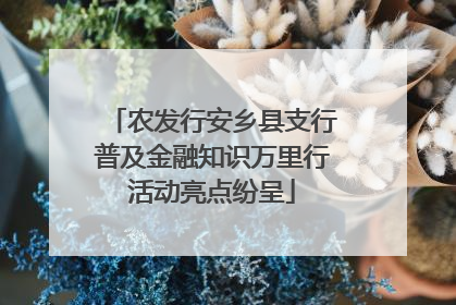 农发行安乡县支行普及金融知识万里行活动亮点纷呈