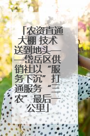 农资直通大棚 技术送到地头——岱岳区供销社以“服务下沉”打通服务“三农”最后一公里
