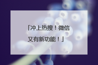 冲上热搜！微信又有新功能！