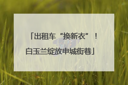 出租车“换新衣”！白玉兰绽放申城街巷