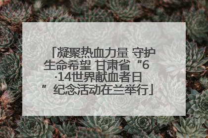 凝聚热血力量 守护生命希望 甘肃省“6 ·14世界献血者日”纪念活动在兰举行
