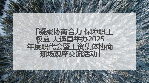 凝聚协商合力 保障职工权益 大通县举办2025年度职代会暨工资集体协商现场观摩交流活动