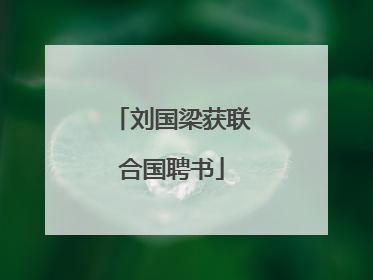 刘国梁获联合国聘书