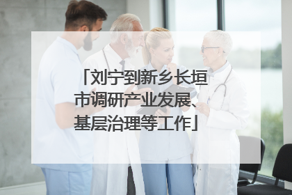 刘宁到新乡长垣市调研产业发展、基层治理等工作