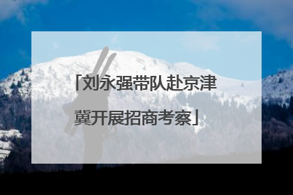 刘永强带队赴京津冀开展招商考察