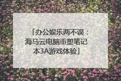 办公娱乐两不误：海马云电脑重塑笔记本3A游戏体验