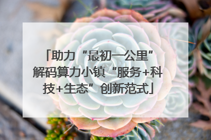 助力“最初一公里” 解码算力小镇“服务+科技+生态”创新范式