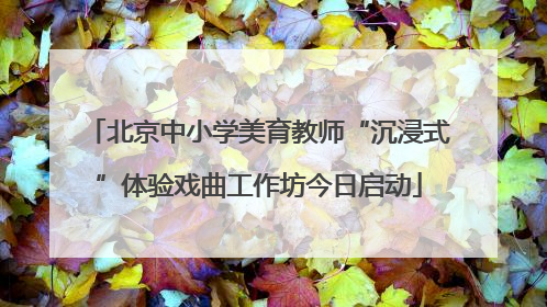北京中小学美育教师“沉浸式”体验戏曲工作坊今日启动