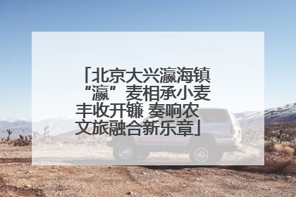 北京大兴瀛海镇“瀛”麦相承小麦丰收开镰 奏响农文旅融合新乐章