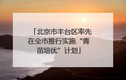 北京市丰台区率先在全市推行实施“青苗培优”计划