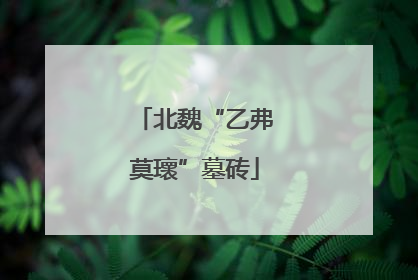 北魏“乙弗莫瓌”墓砖