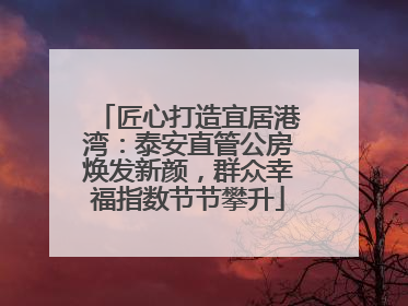 匠心打造宜居港湾：泰安直管公房焕发新颜，群众幸福指数节节攀升
