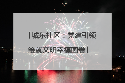 城东社区：党建引领绘就文明幸福画卷