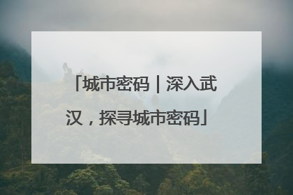城市密码｜深入武汉，探寻城市密码