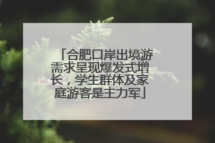 合肥口岸出境游需求呈现爆发式增长，学生群体及家庭游客是主力军