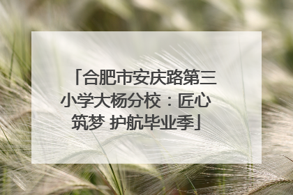合肥市安庆路第三小学大杨分校：匠心筑梦 护航毕业季