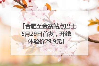 合肥至金寨站点巴士5月29日首发，开线体验价29.9元