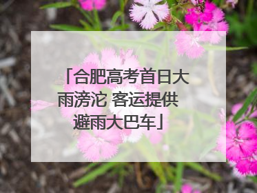 合肥高考首日大雨滂沱 客运提供避雨大巴车