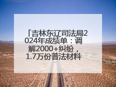 吉林东辽司法局2024年成绩单：调解2000+纠纷，1.7万份普法材料飞入百姓家！