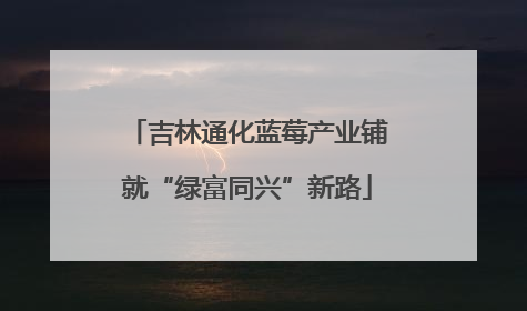 吉林通化蓝莓产业铺就“绿富同兴”新路