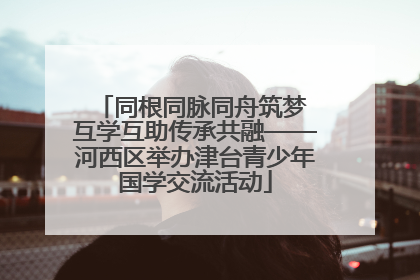 同根同脉同舟筑梦 互学互助传承共融——河西区举办津台青少年国学交流活动