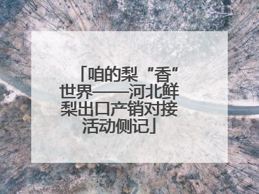 咱的梨“香”世界——河北鲜梨出口产销对接活动侧记