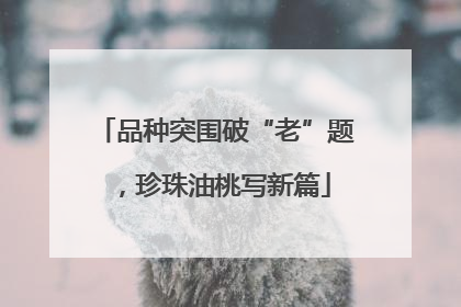 品种突围破“老”题，珍珠油桃写新篇