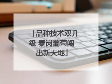 品种技术双升级 秦岗葡萄闯出新天地
