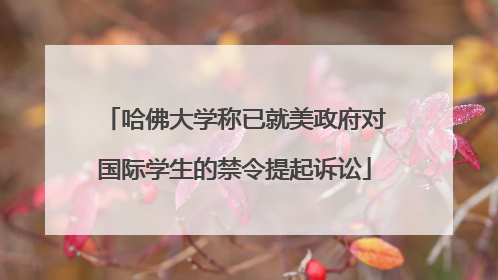 哈佛大学称已就美政府对国际学生的禁令提起诉讼