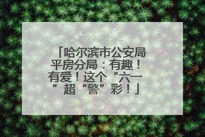 哈尔滨市公安局平房分局：有趣！有爱！这个“六一”超“警”彩！