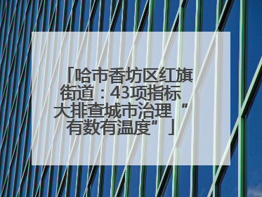 哈市香坊区红旗街道：43项指标大排查城市治理“有数有温度”