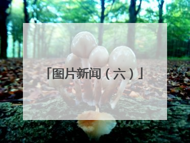 图片新闻（六）