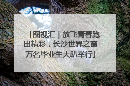 图视汇｜放飞青春跑出精彩，长沙世界之窗万名毕业生大趴举行