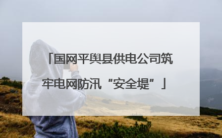 国网平舆县供电公司筑牢电网防汛“安全堤”