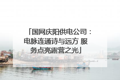 国网庆阳供电公司：电脉连通诗与远方 服务点亮露营之光