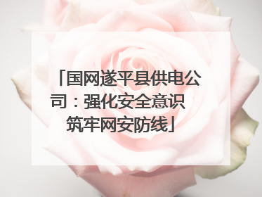 国网遂平县供电公司：强化安全意识 筑牢网安防线
