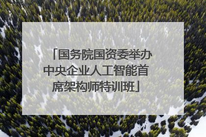国务院国资委举办中央企业人工智能首席架构师特训班